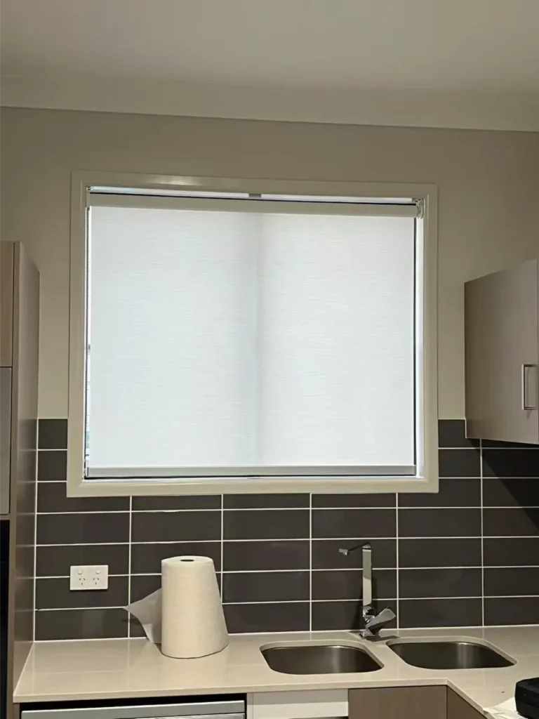 privacy blinds